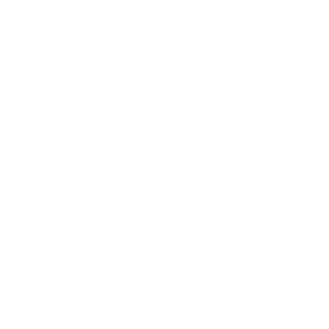 icone_60ans