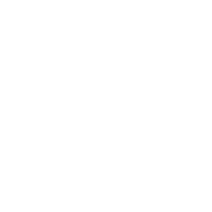 iconecravate